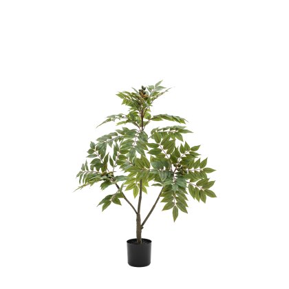 Faux Plants - Potted Chinese White Olive Tree 3ft
