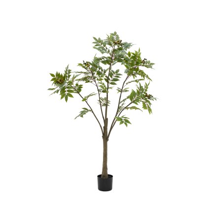 Faux Plants - Potted Chinese White Olive Tree 5ft