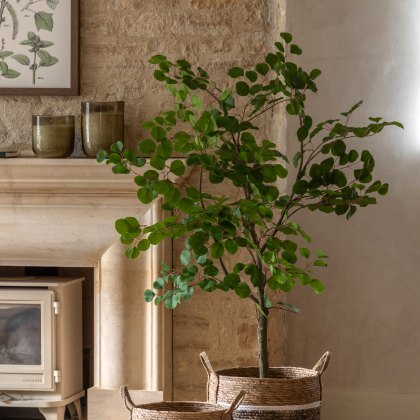 Faux Plants - Potted Eucalyptus Tree