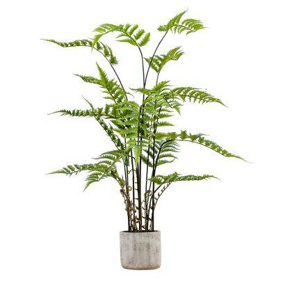 Faux Plants - Potted Fern in Cement Pot H