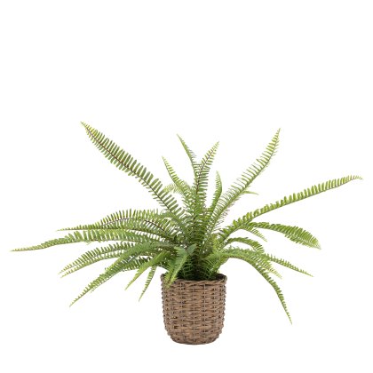 Faux Plants - Potted Fern Plant