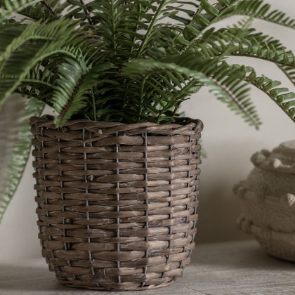 Faux Plants - Potted Fern Plant