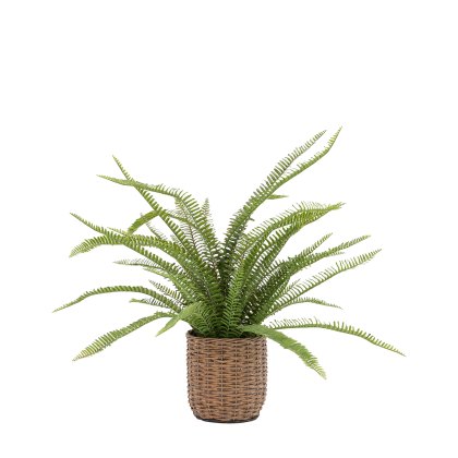 Faux Plants - Potted Fern Plant