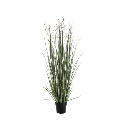 Faux Plants - Potted Grass w/7 Heads Green/Russet