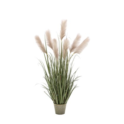 Faux Plants - Potted Grass with Pampas Seed Heads