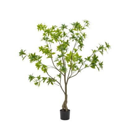 Faux Plants - Potted Pierisjaponica 5ft Tree