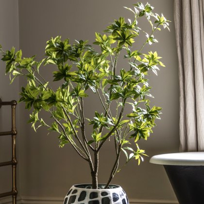 Faux Plants - Potted Pierisjaponica 5ft Tree