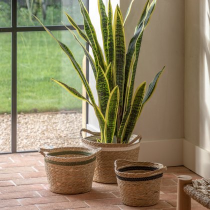 Faux Plants - Potted Sansevieria Plant 4ft