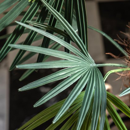 Faux Plants - Potted Statement Palm