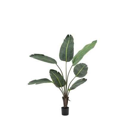 Faux Plants - Potted Travellers Palm Tree 4ft