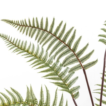 Faux Plants - Tall Fern in Textured Grey Ceramic Pot