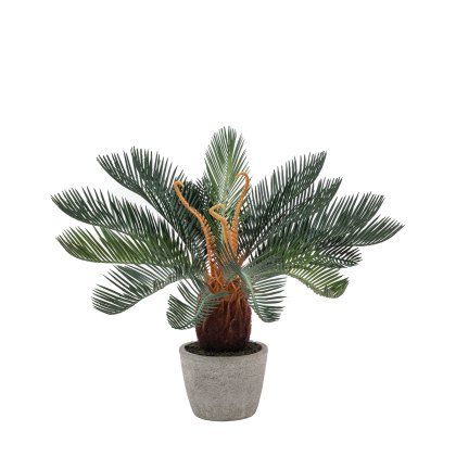 Faux Plants - Wide Palm in Concrete Pot