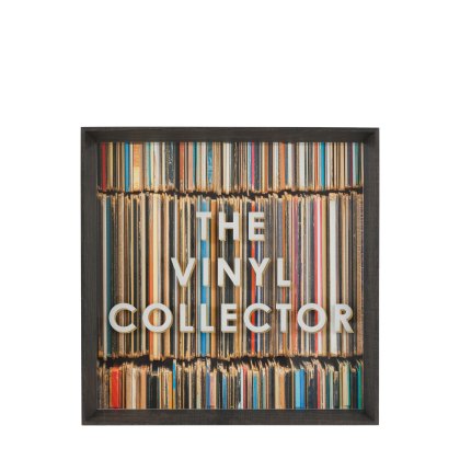 The Vinyl Collector - Framed Art