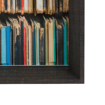 The Vinyl Collector - Framed Art