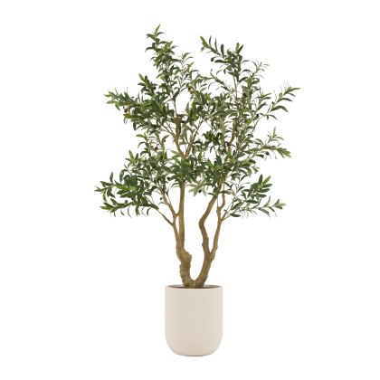 Faux Plants - Faux Olive Tree in White Pot