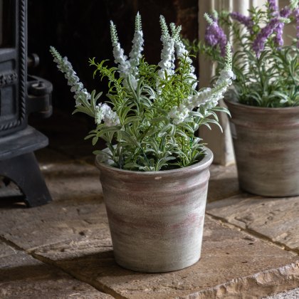 Faux Plants - Potted Rustic White Lavendar