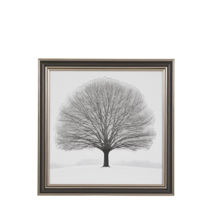 Silent Beauty - Framed Art