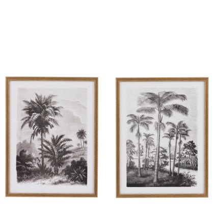 Colonial Sketches - Framed Art Set of 2
