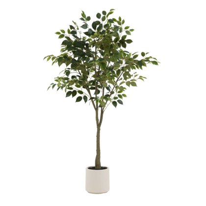 Faux Plants - Ficus Tree