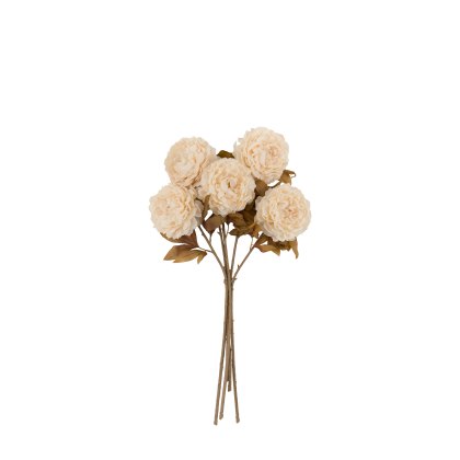 Accessories - Natural Peony Stem (5pk)