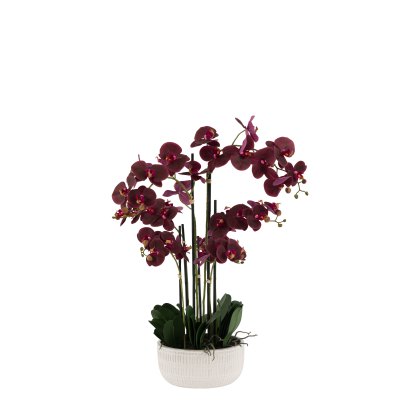 Faux Plants - Real Touch Plum Orchid In Ceramic Ridged Pot