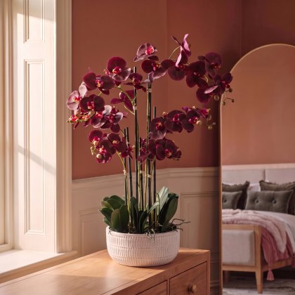 Faux Plants - Real Touch Plum Orchid In Ceramic Ridged Pot Faux Plants - Real Touch Plum Orchid In Ceramic Ridged Pot