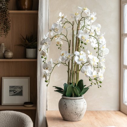 Faux Plants - Real Touch White Orchid In Cement Style Pot