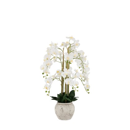 Faux Plants - Real Touch White Orchid In Cement Style Pot