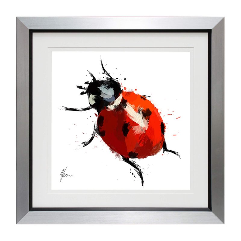 Complete Colour Ltd Figures and Florals - Ladybird (s)