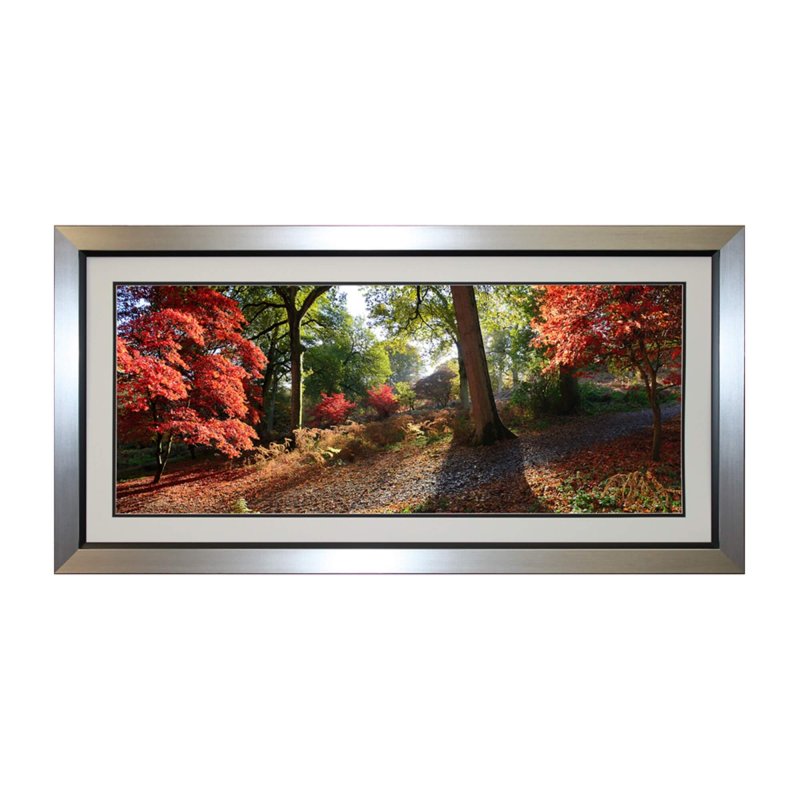 Complete Colour Ltd Scenes and Landscapes - Autumn Trees Red
