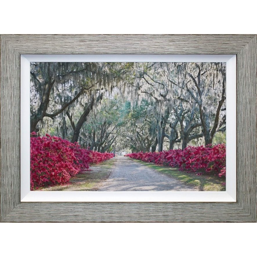 Complete Colour Ltd Scenes and Landscapes - Azalea Pathway I (O)