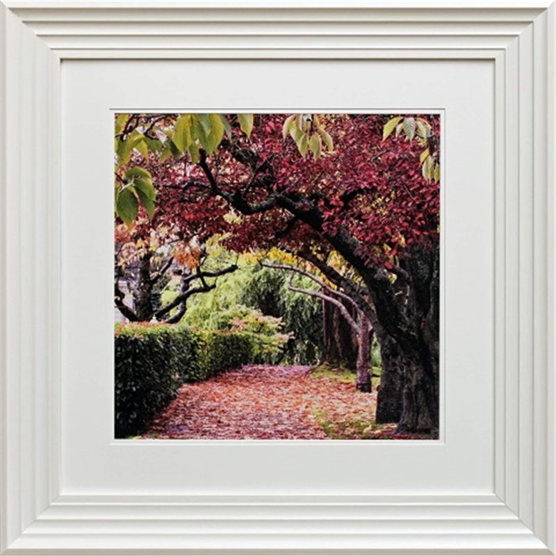 Complete Colour Ltd Scenes and Landscapes - Blossom Tree I (J)
