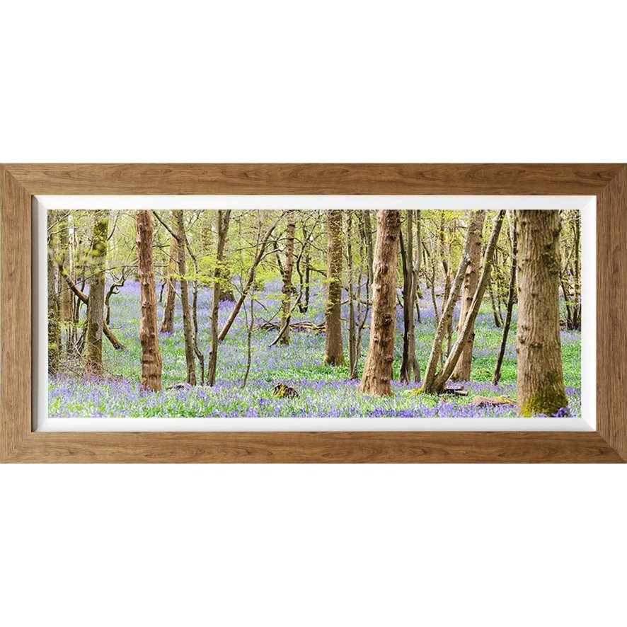 Complete Colour Ltd Scenes and Landscapes - Bluebell Woods