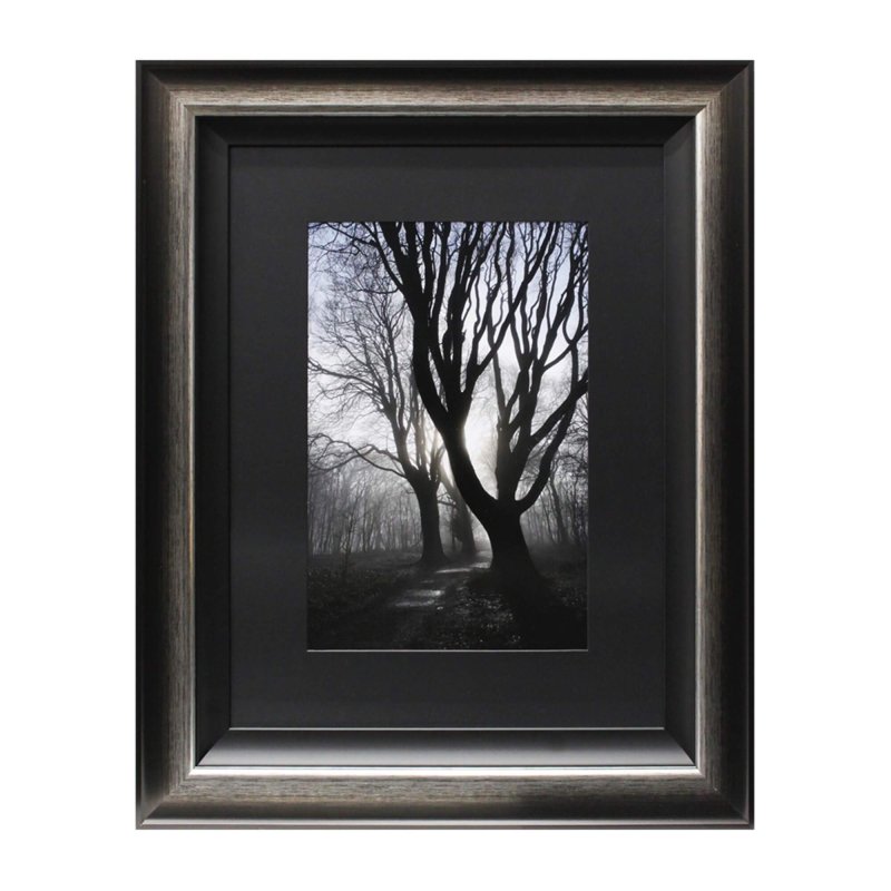 Complete Colour Ltd Scenes and Landscapes - Dawn, Through the Trees