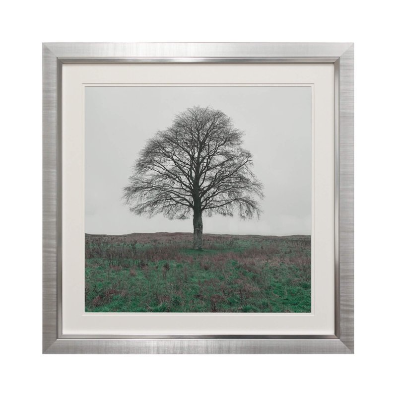 Complete Colour Ltd Scenes and Landscapes - Lone Tree l