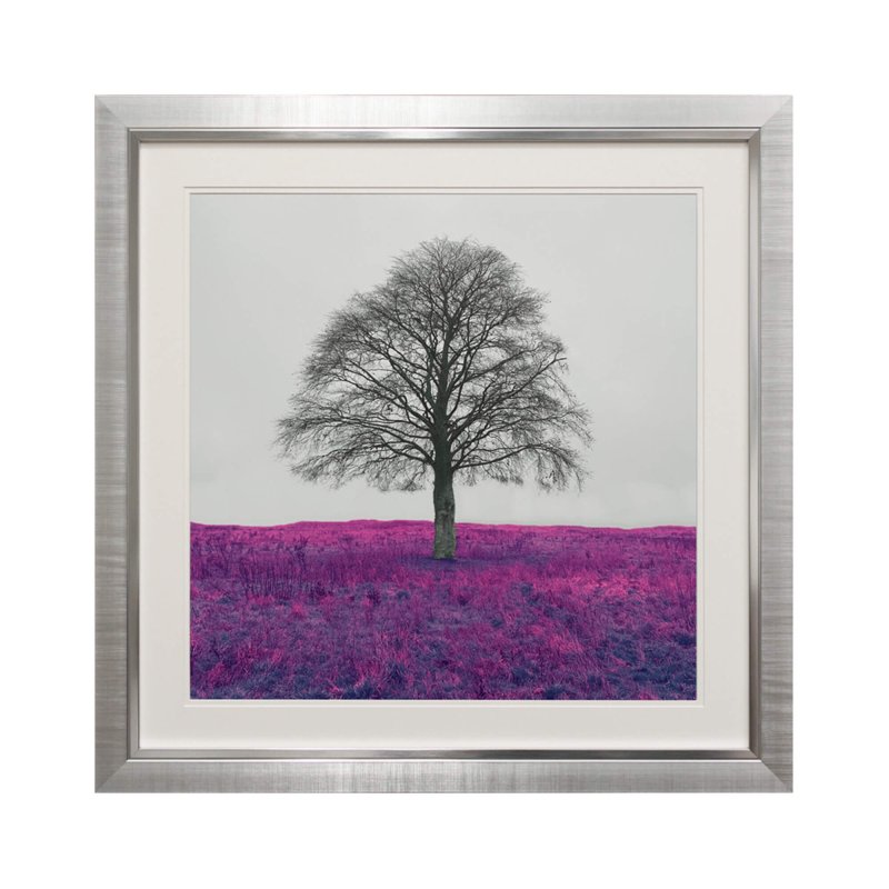 Complete Colour Ltd Scenes and Landscapes - Lone Tree lll