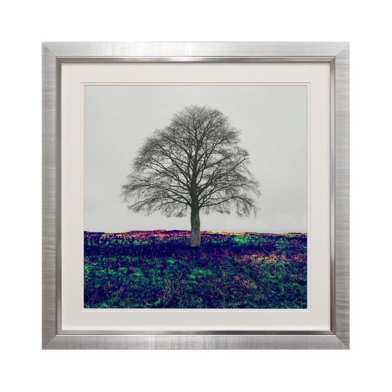 Complete Colour Ltd Scenes and Landscapes - Lone Tree lV