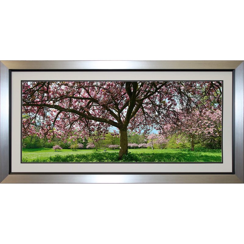 Complete Colour Ltd Scenes and Landscapes - Spring Blossom 12-472 sSBL
