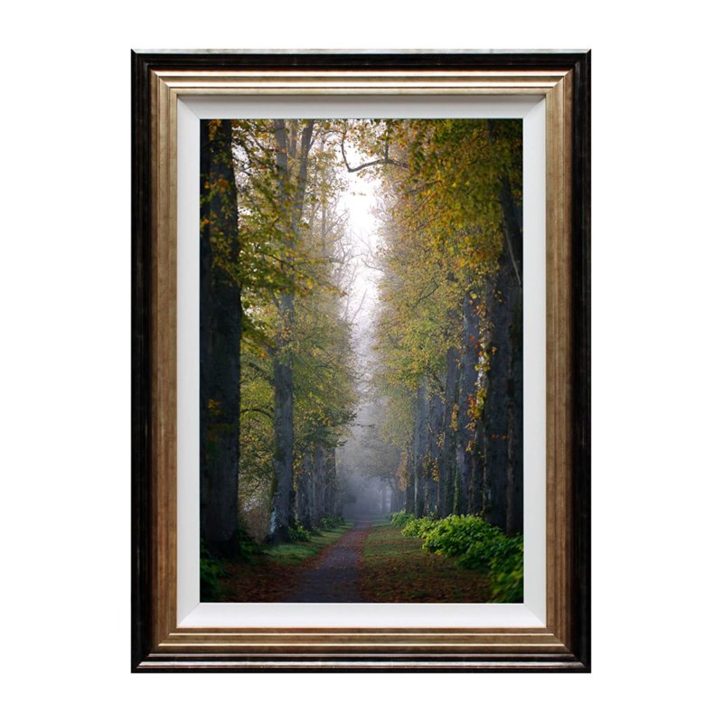 Complete Colour Ltd Scenes and Landscapes - Woodland Walk Solitude