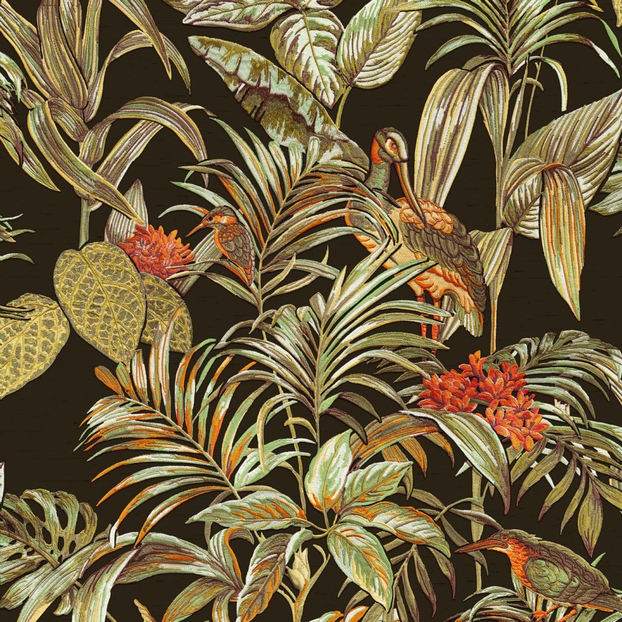 Esselle Esselle - Bird of Paradise Black Wallpaper