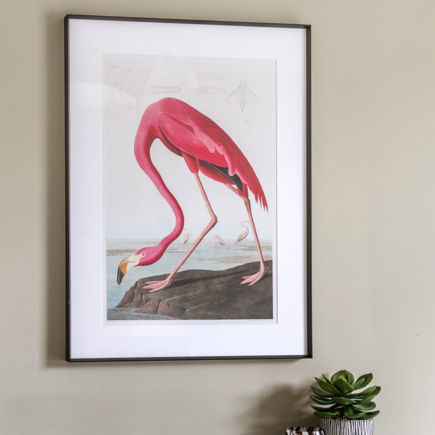 Gallery Direct Wading Flamingo - Framed Art