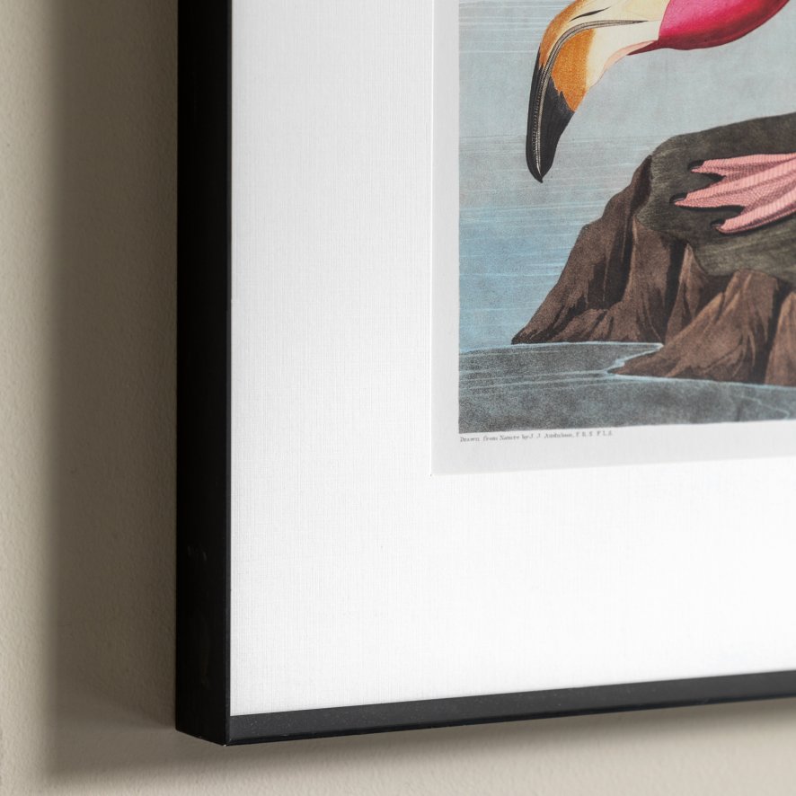 Gallery Direct Wading Flamingo - Framed Art