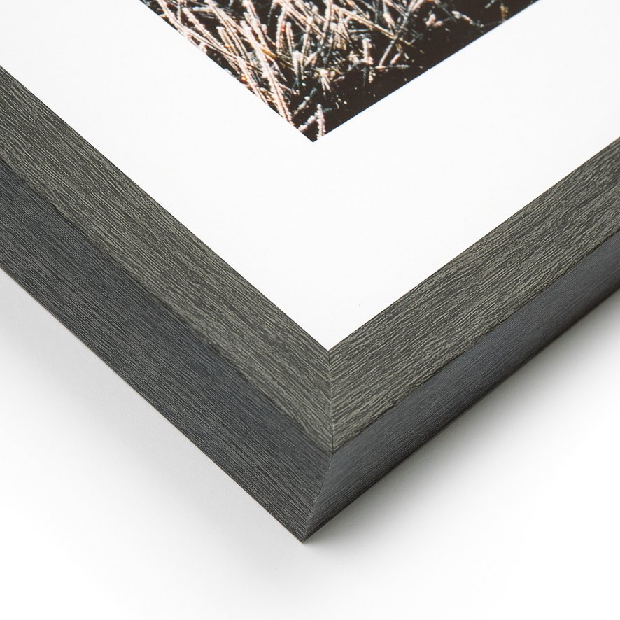 Gallery Direct Early Sunrise - Wall Art