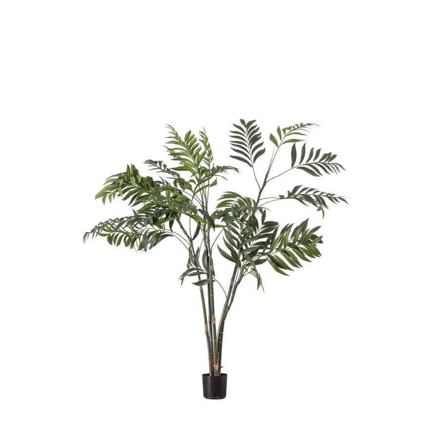 Gallery Direct Accessories - Areca Palm Tree (Small)