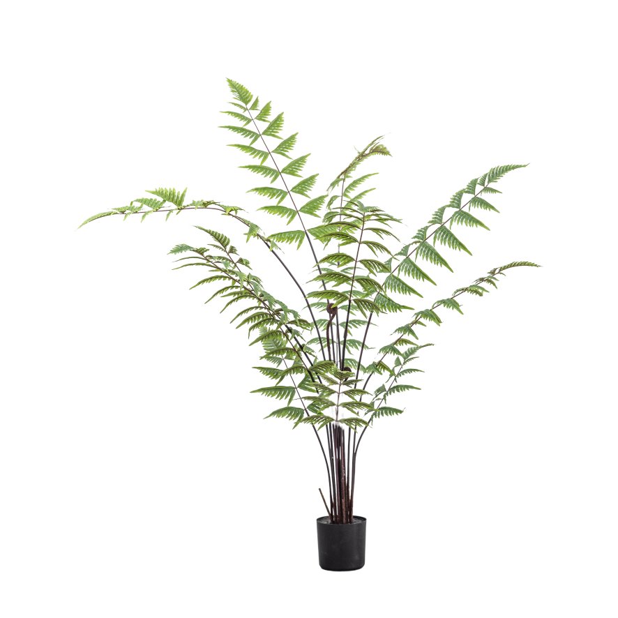 Gallery Direct Faux Plants - Butterfly Fern H