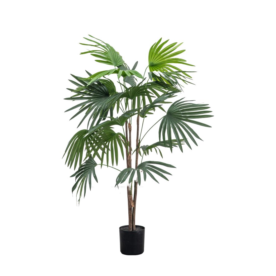 Gallery Direct Faux Plants - Chinese Fan Palm H