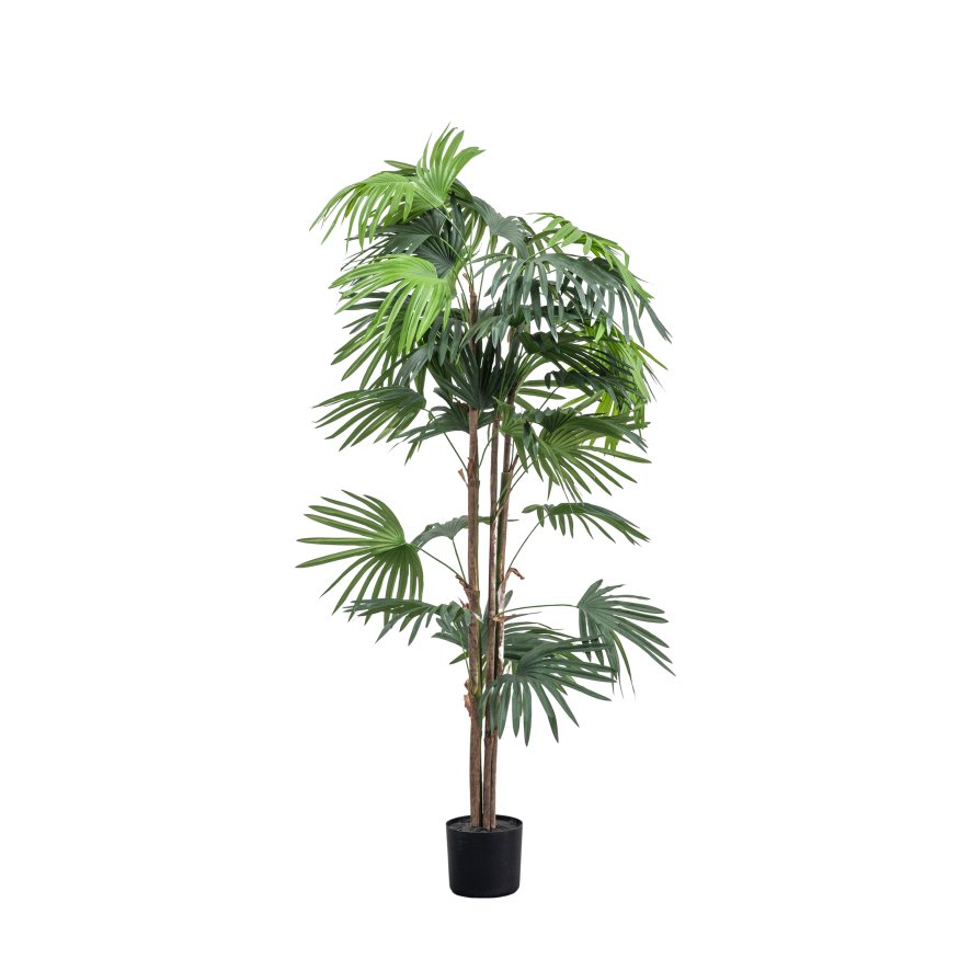 Gallery Direct Faux Plants - Chinese Fan Palm H