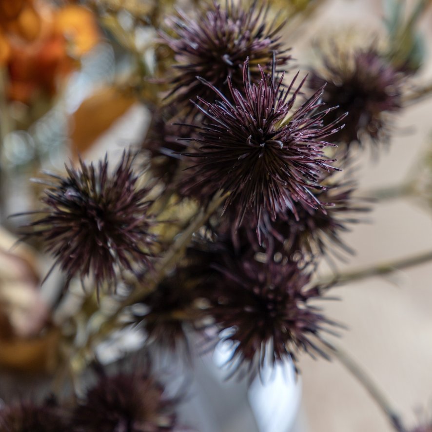 Gallery Direct Accessories - Eucalyptus Autumnal Bouquet