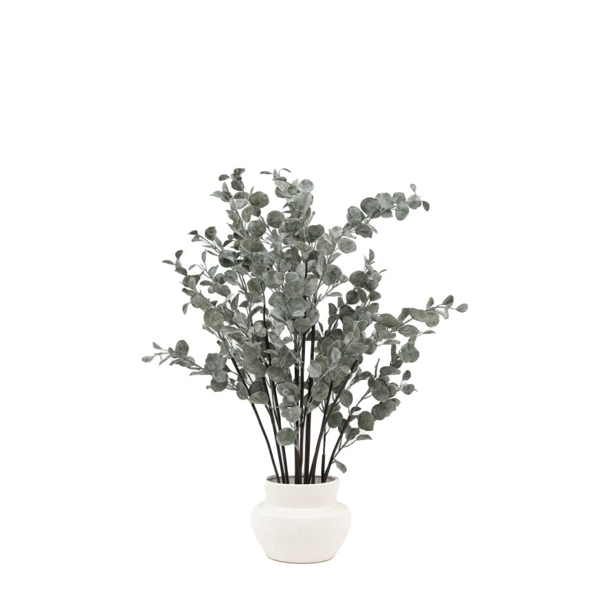 Faux Plants - Faux Eucalyptus in Ceramic Pot Ivory