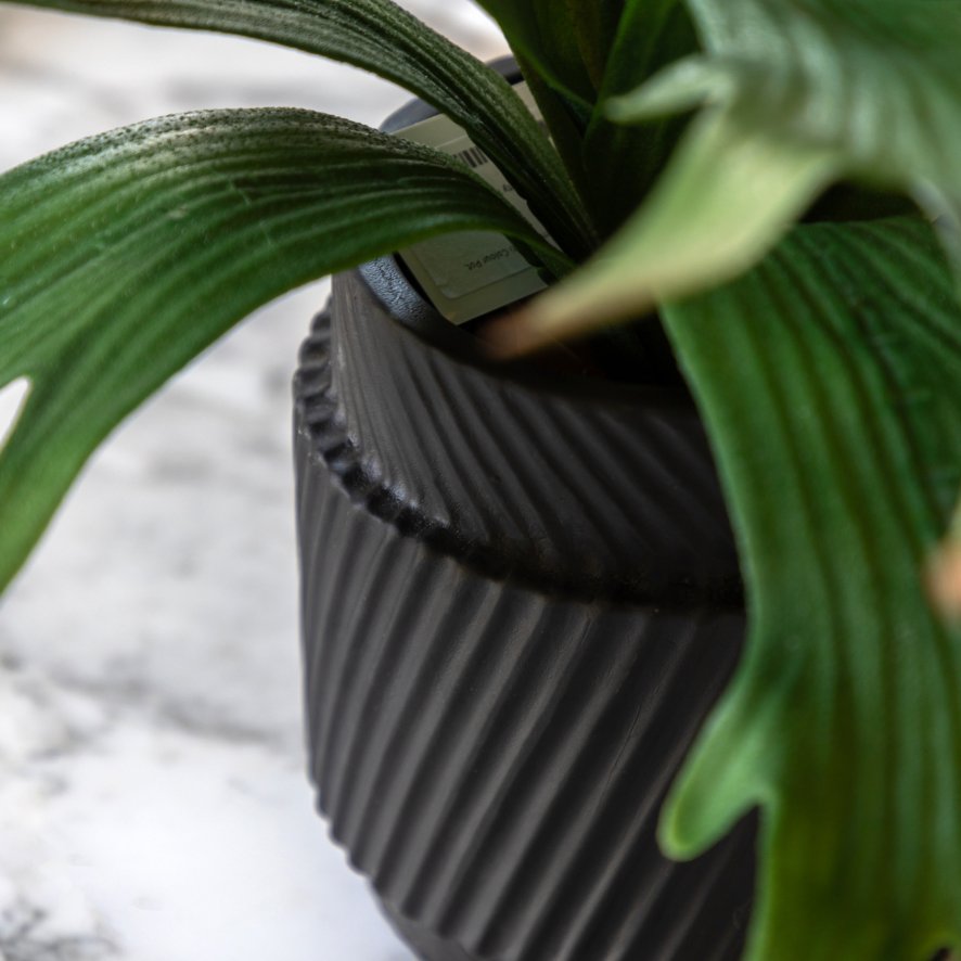 Gallery Direct Faux Plants - Faux Playycerium Multi Colour in Ceramic Pot